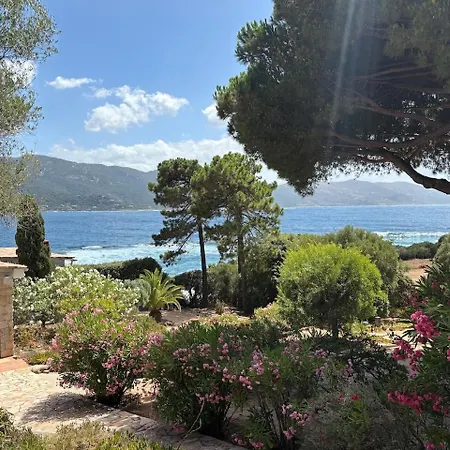 Roc & Fiori - Bord De - Corse Du Sud Villa