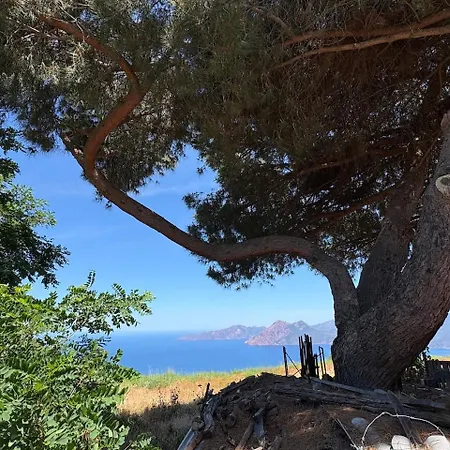 Roc & Fiori - Bord De - Corse Du Sud Casaglione